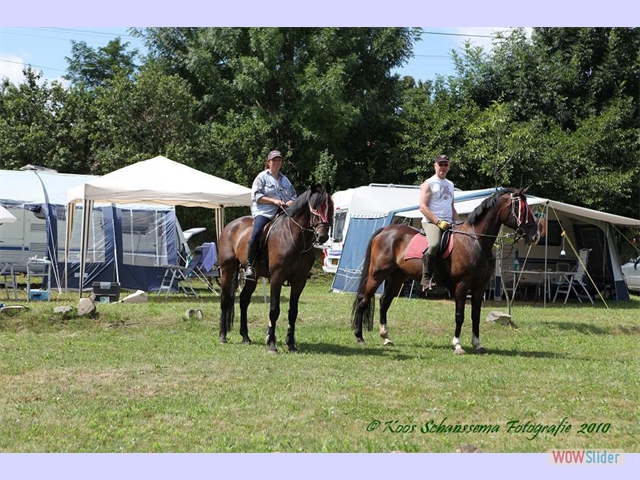 19 Paarden letterlijk vanaf de camping