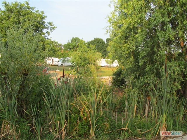 26a Doorkijkje naar veld2 juli 2015