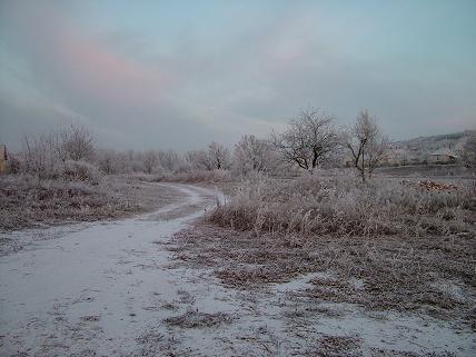 Winter foto, HelloHalloPark Hongarije vakantie camping en manege