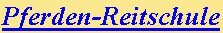 Reiten Ausritte Reiturlaub, Urlaub mglichkeiten, HelloHalloPark Ungarn ferien camping und reitschule pferden