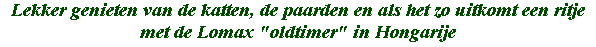 paarden katten lomax oldtimer HelloHalloPark Hongarije vakantie camping en manege