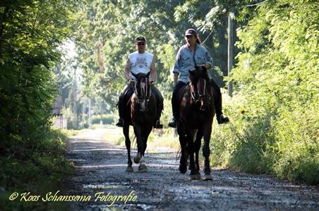 Buitenrit, HelloHalloPark Hongarije vakantie camping paardrijden zwerftochten paarden manege